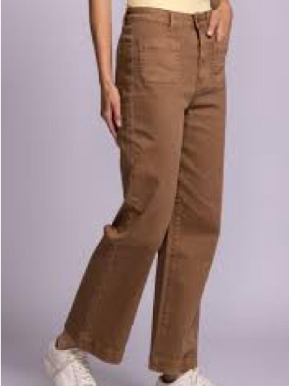 Altar’d State Brown pants size 27